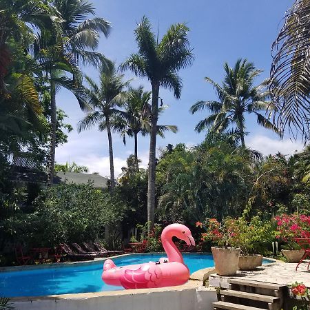 Cabarete Surf Camp Hotel Luaran gambar