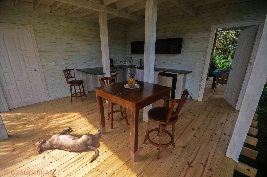 Cabarete Surf Camp Hotel Luaran gambar