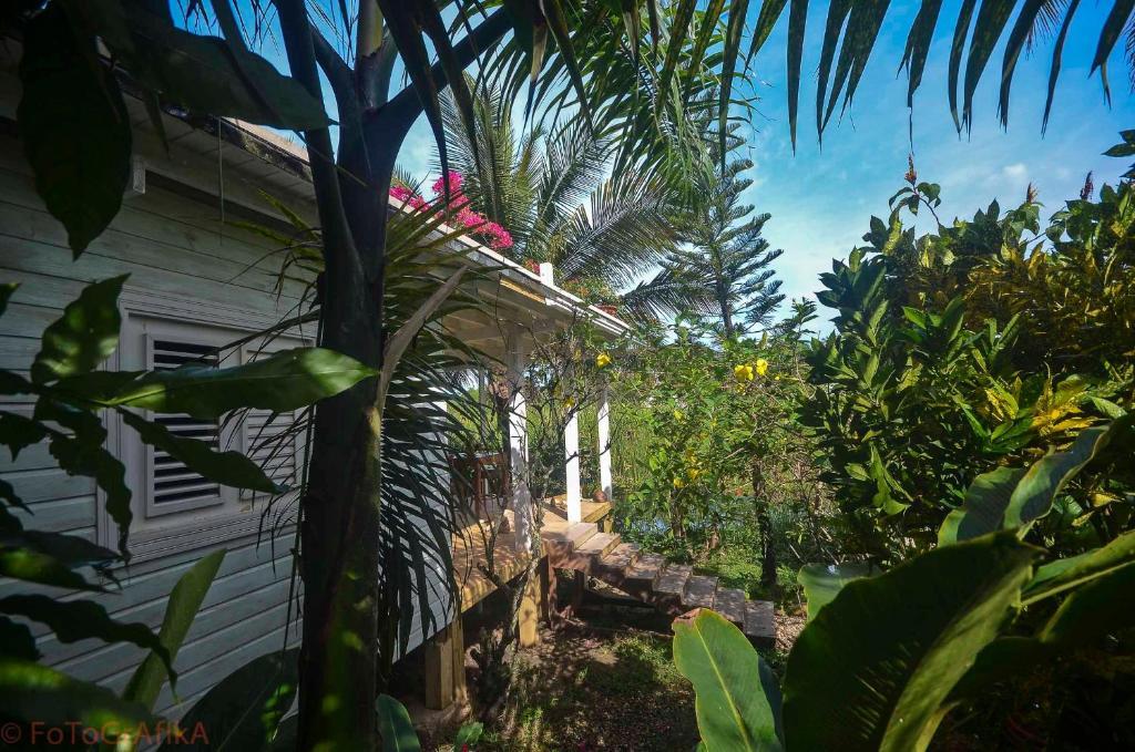 Cabarete Surf Camp Hotel Luaran gambar