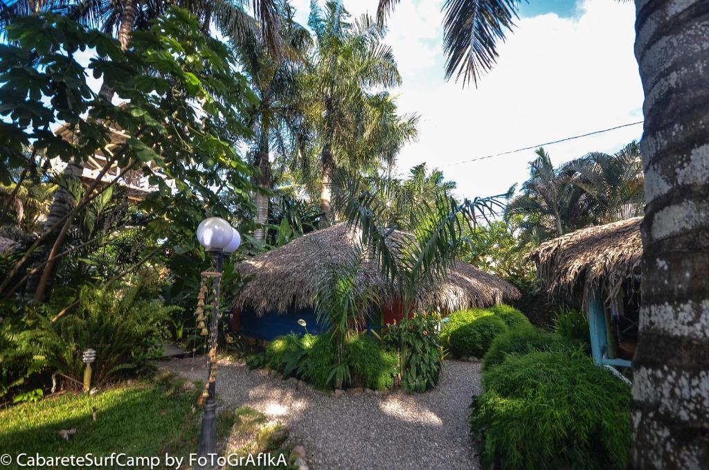 Cabarete Surf Camp Hotel Luaran gambar