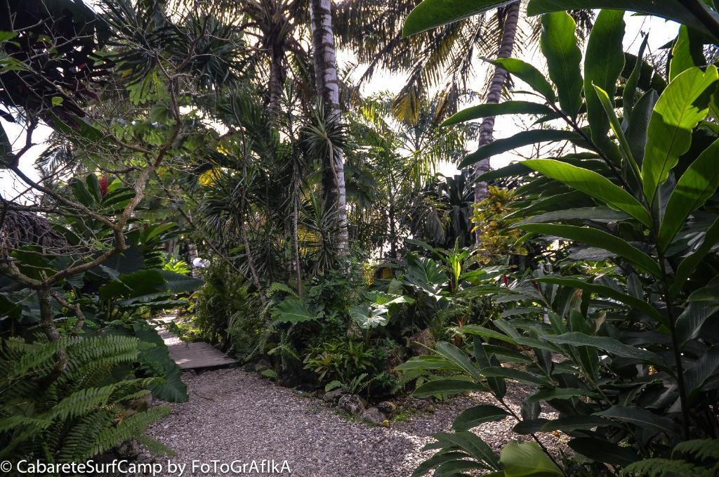 Cabarete Surf Camp Hotel Luaran gambar