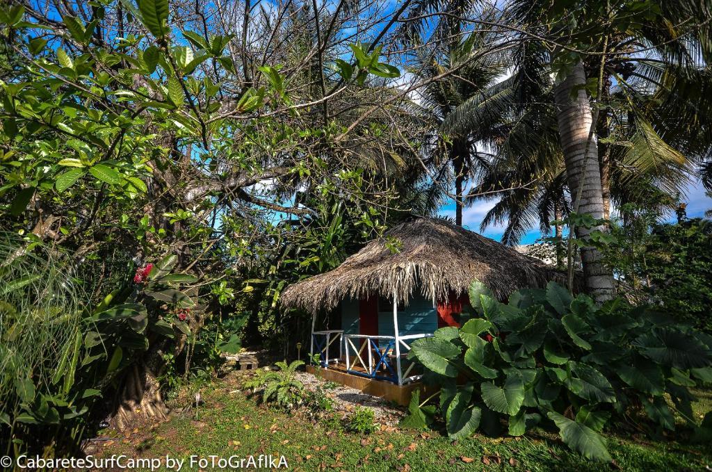Cabarete Surf Camp Hotel Luaran gambar