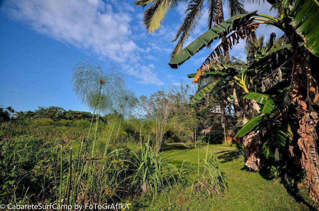 Cabarete Surf Camp Hotel Luaran gambar