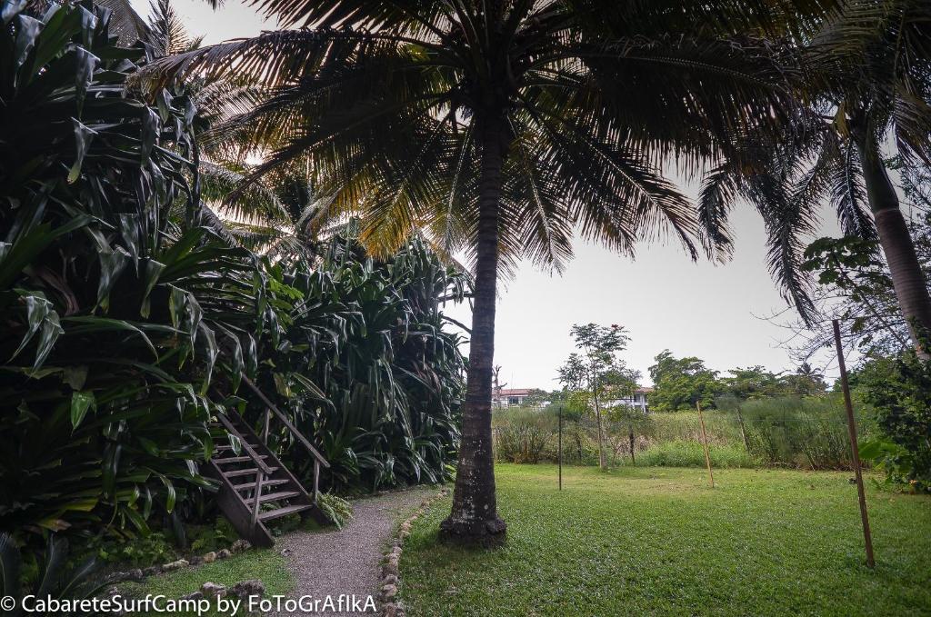 Cabarete Surf Camp Hotel Luaran gambar