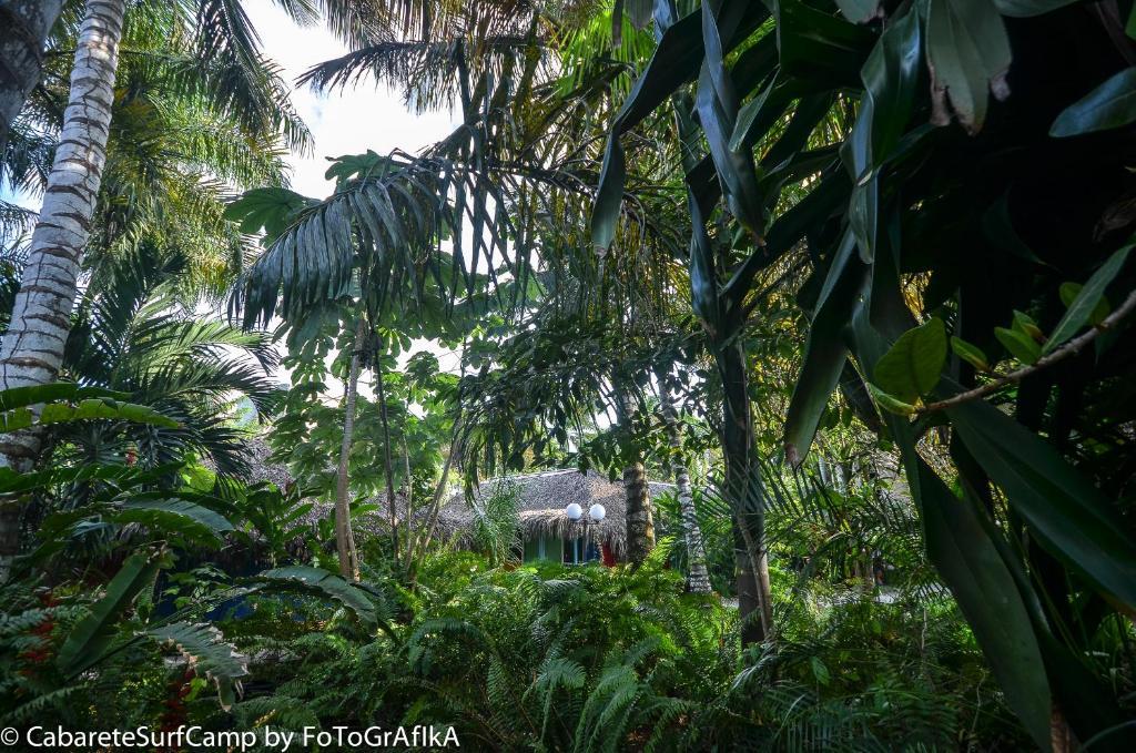 Cabarete Surf Camp Hotel Luaran gambar
