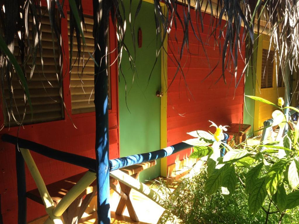 Cabarete Surf Camp Hotel Luaran gambar