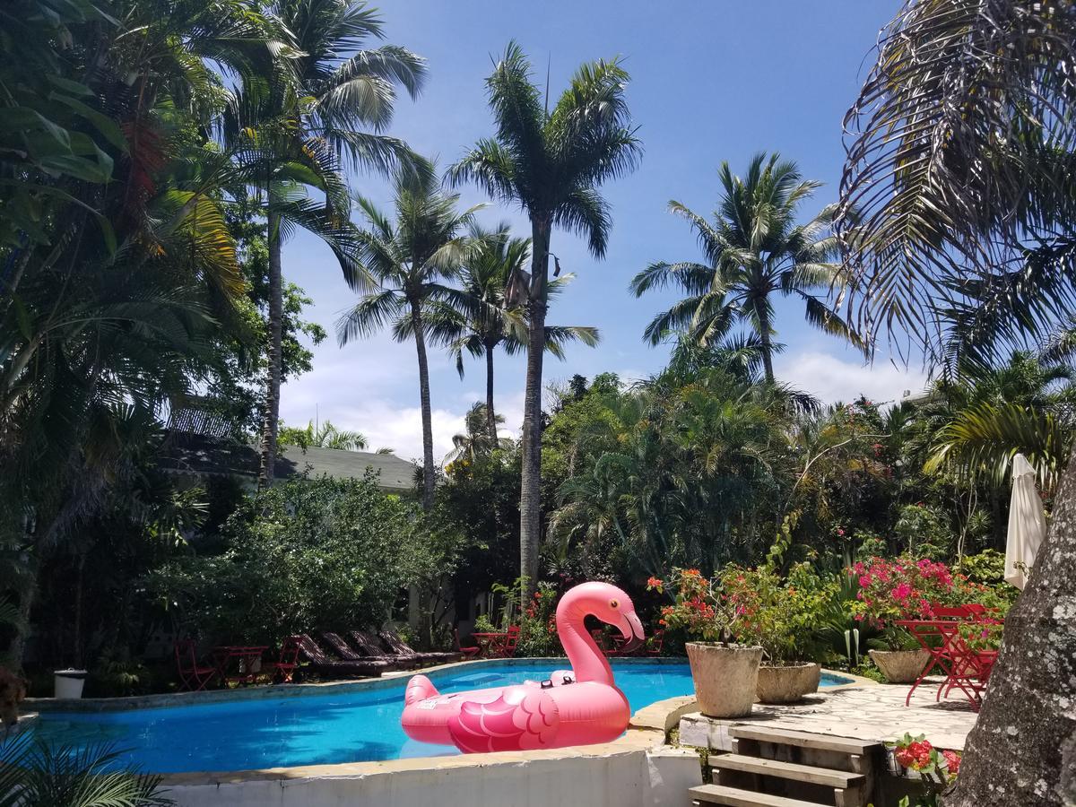 Cabarete Surf Camp Hotel Luaran gambar