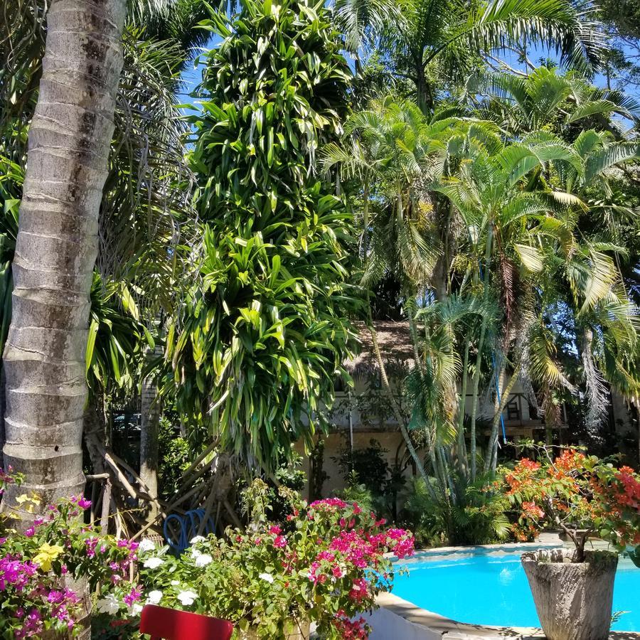 Cabarete Surf Camp Hotel Luaran gambar