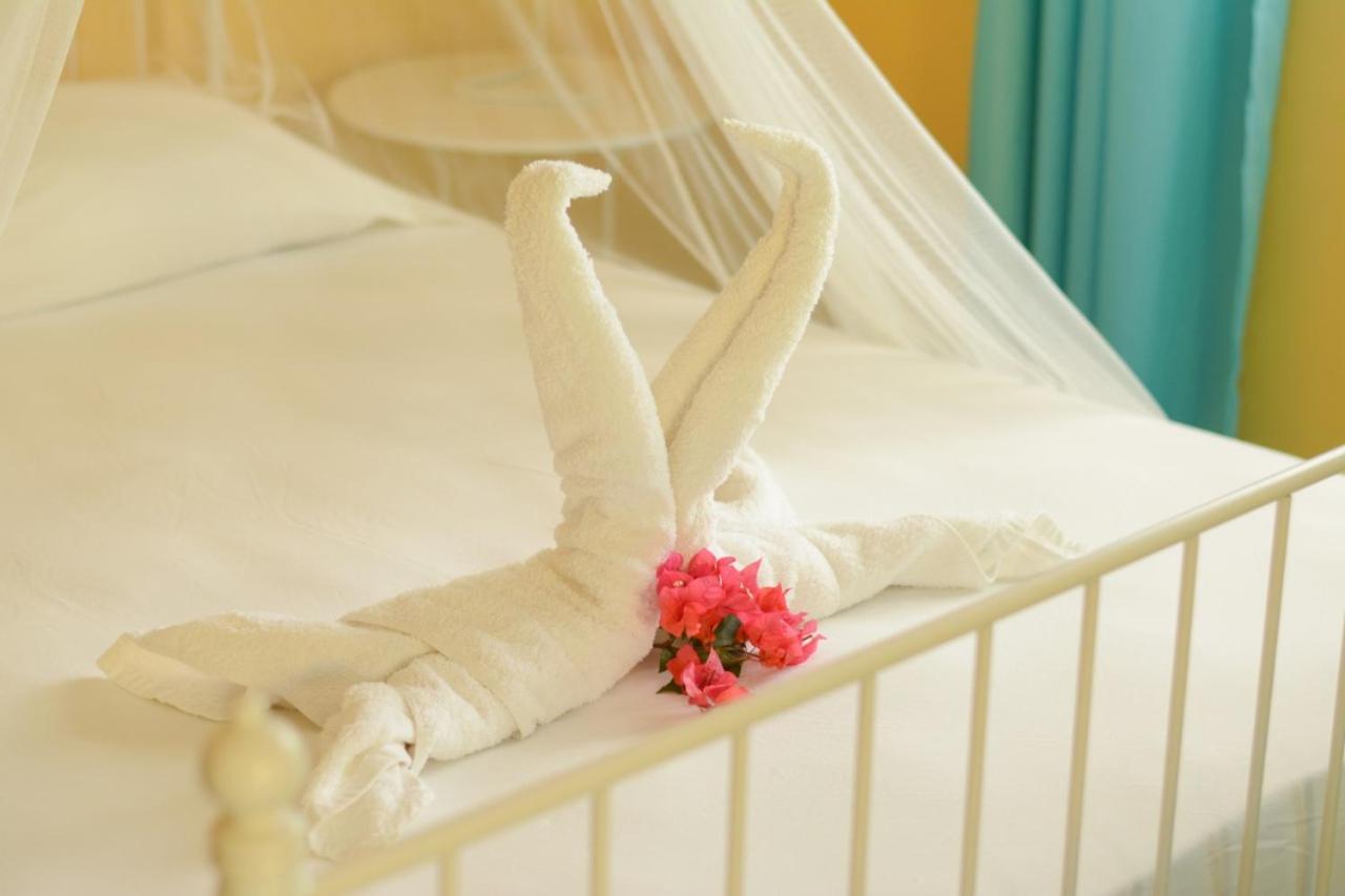 Cabarete Surf Camp Hotel Luaran gambar